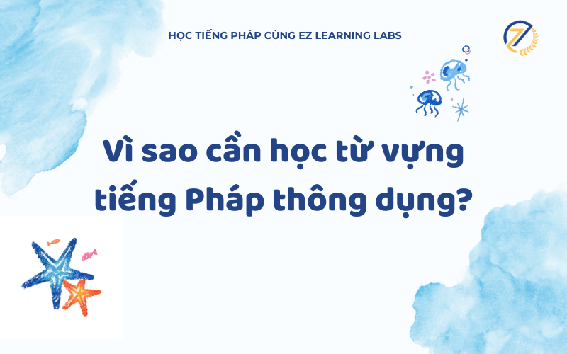Tại sao cần học từ vựng tiếng Pháp thông dụng? 