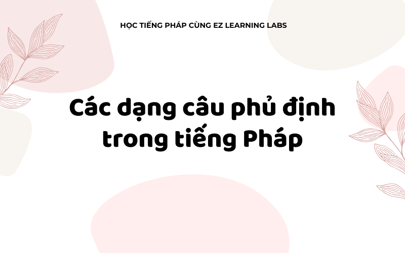 Các dạng câu phủ định trong tiếng Pháp