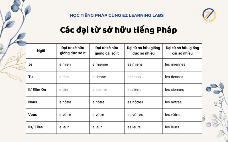Vị trí đại từ sở hữu trong tiếng Pháp kèm ví dụ