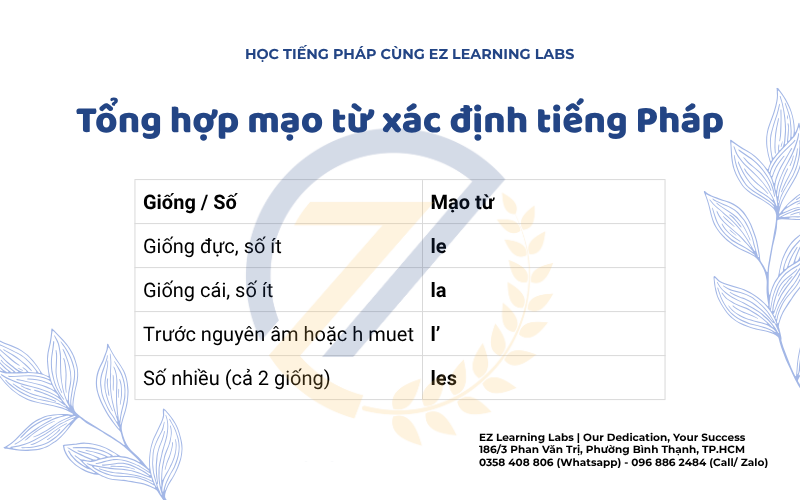 Tổng hợp mạo từ xác định tiếng Pháp
