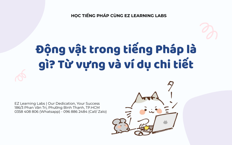 Động vật trong tiếng Pháp là gì? Từ vựng và ví dụ chi tiết