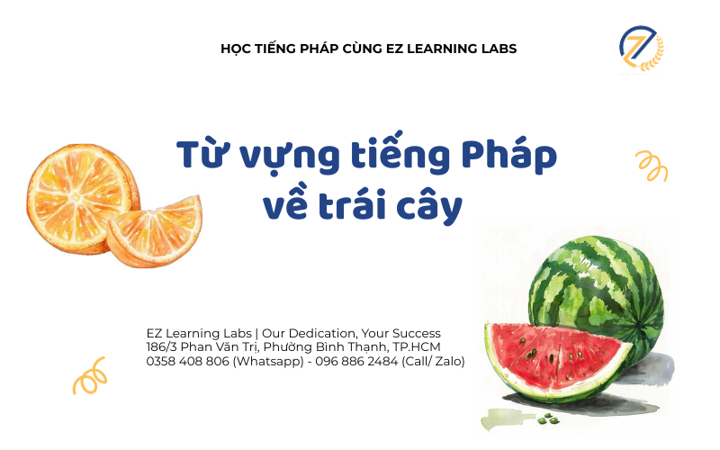Trái cây tiếng Pháp là gì? Từ vựng về các loại trái cây