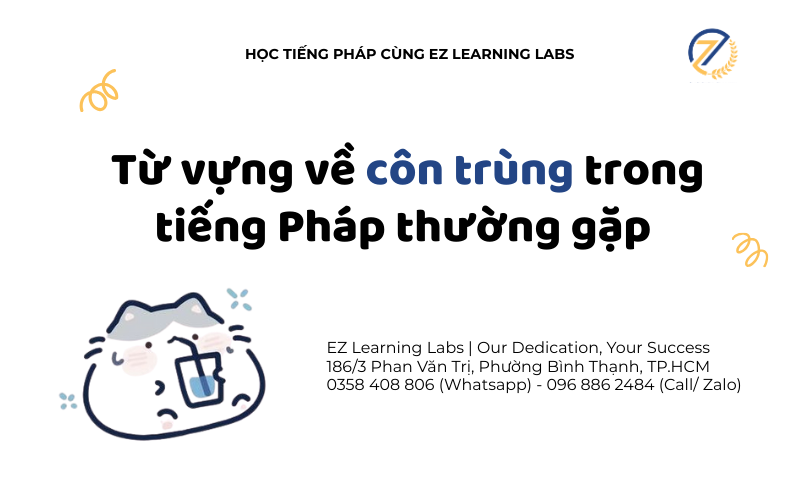 Côn trùng tiếng Pháp thường gặp
