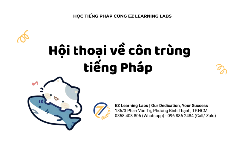 List từ vựng côn trùng tiếng Pháp quan trọng